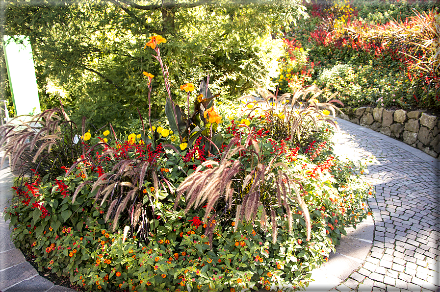 foto Giardini Trauttmansdorff - Boschi del Mondo